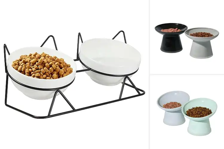 Detailed view of Best Anti-Vomiting Bowls: 10 Picks to Keep Cats Healthy