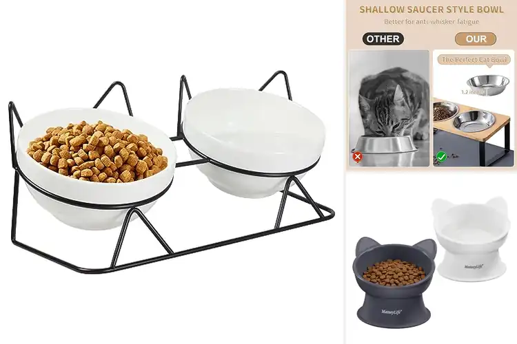 Detailed view of Best Anti Vomiting Cat Bowls
