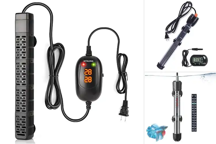 Detailed view of Best Aquarium Heaters With Thermostat