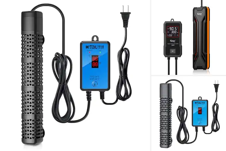 Detailed view of Best Aquarium Heating Systems