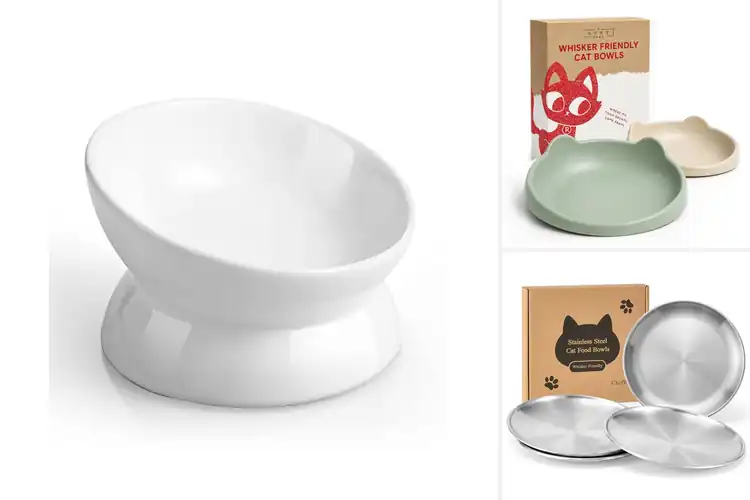 Detailed view of Best Bowls For Flat-Faced Cats