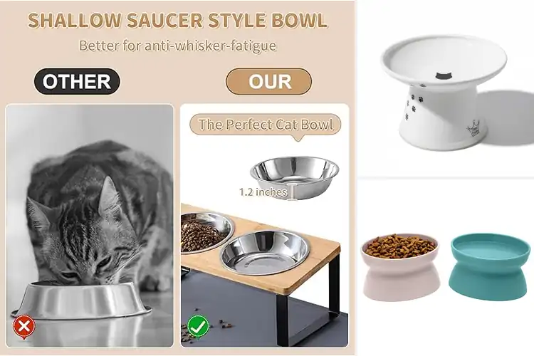Detailed view of Best Bowls For Senior Cats