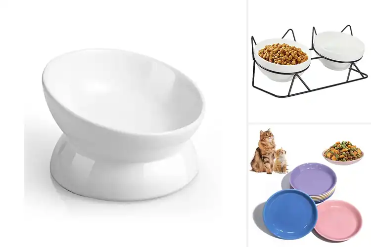 Detailed view of Best Ceramic Cat Food Bowls