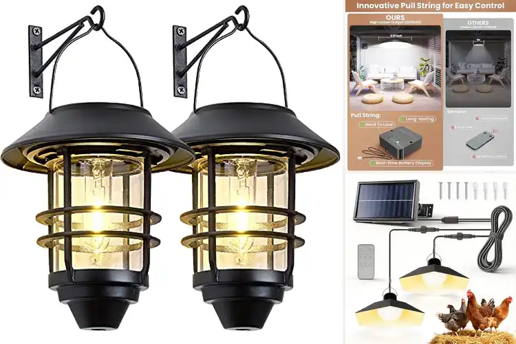 Detailed view of Best Chicken Coop Lights Guide