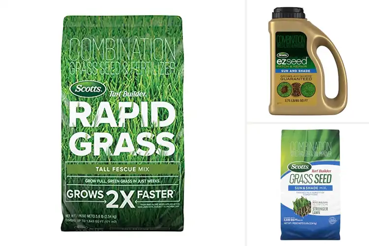 Detailed view of Best Coated Grass Seeds for a Lush, Fast-Growing Lawn