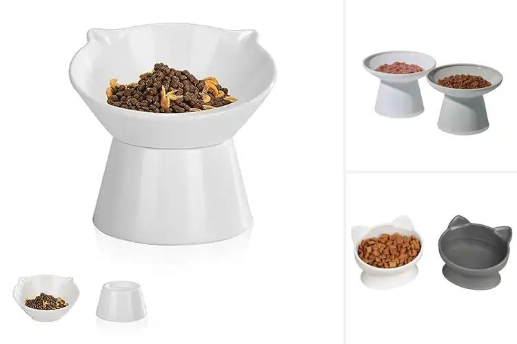 Detailed view of Best Comfortable Cat Bowls: Top 10 Picks for Happy Meals