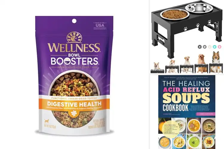 Detailed view of Best Digestion Support Bowls