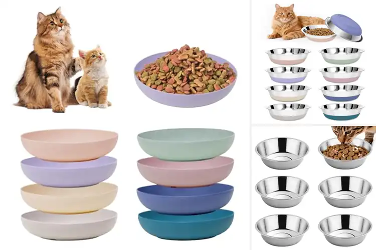 Detailed view of Best Dishwasher Safe Cat Bowls: Easy Cleaning, Happy Cats