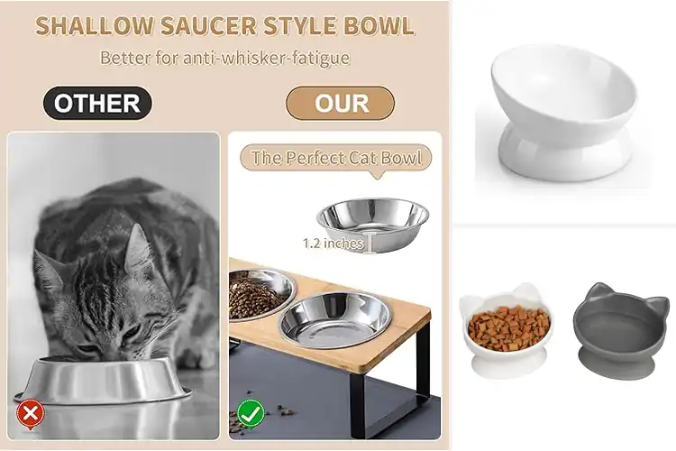 Detailed view of Best Ergonomic Cat Bowls: 10 Picks for Comfortable Mealtime