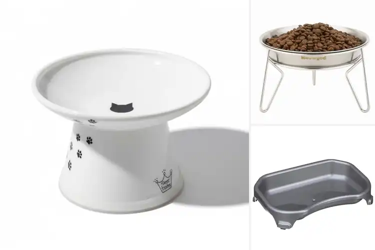 Detailed view of Best Extra Wide Cat Bowls for Comfy, Whisker‑Friendly Meals