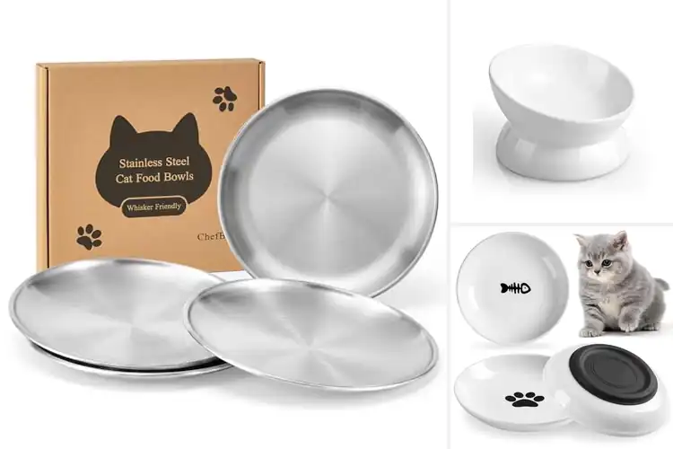 Detailed view of Best Flat Faced Cat Bowls