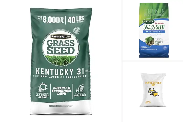 Detailed view of Best Large-Area Grass Seeds: Transform Wide Spaces Fast