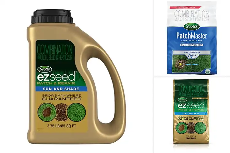 Detailed view of Best Lawn Repair Seeds