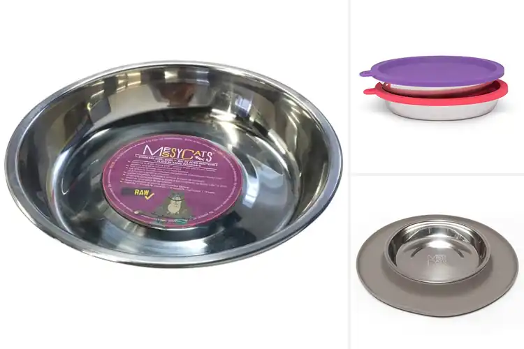 Detailed view of Best Messy Cat Eating Bowls