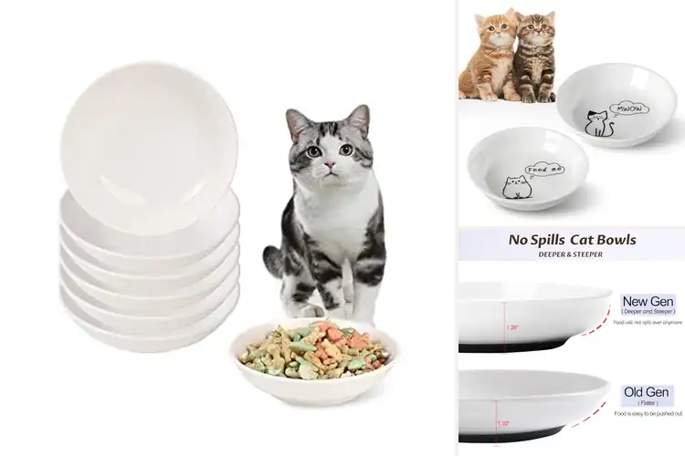 Detailed view of Best Microwave Safe Cat Bowls: Top Picks Your Cat Will Love