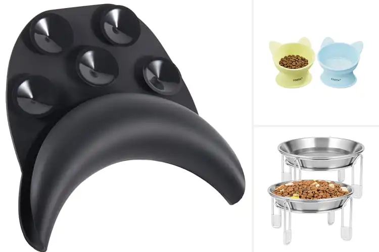 Detailed view of Best Neck-Friendly Bowls: Top Picks for Comfy Pet Mealtimes