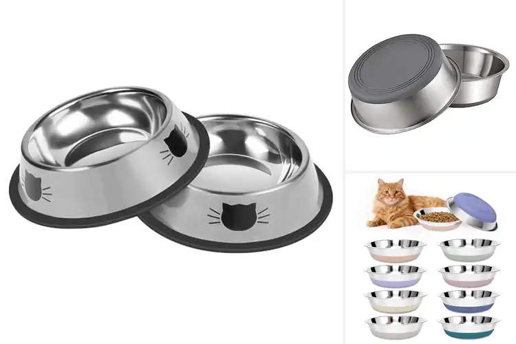 Detailed view of Best Non Slip Cat Bowls: Top 10 Picks for Happy Pets