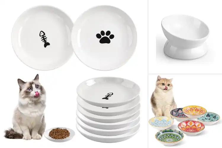 Detailed view of Best Porcelain Cat Bowls
