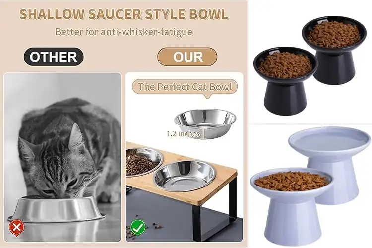 Detailed view of Best Raised Bowls For Senior Cats