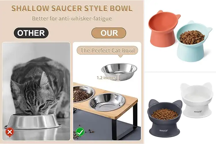 Detailed view of Best Raised Cat Feeding Bowls: Top Picks for Comfy Mealtime