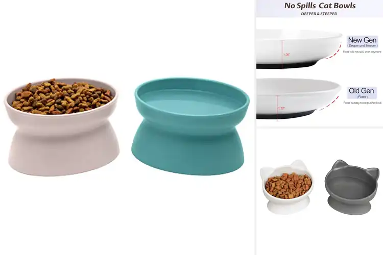 Detailed view of Best Safe Cat Food Bowls for Calm, Clean Mealtimes