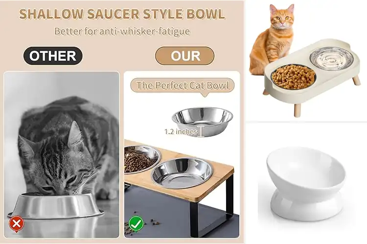 Detailed view of Best Senior Cat Bowls: Easy, Comfy Mealtime for Older Cats