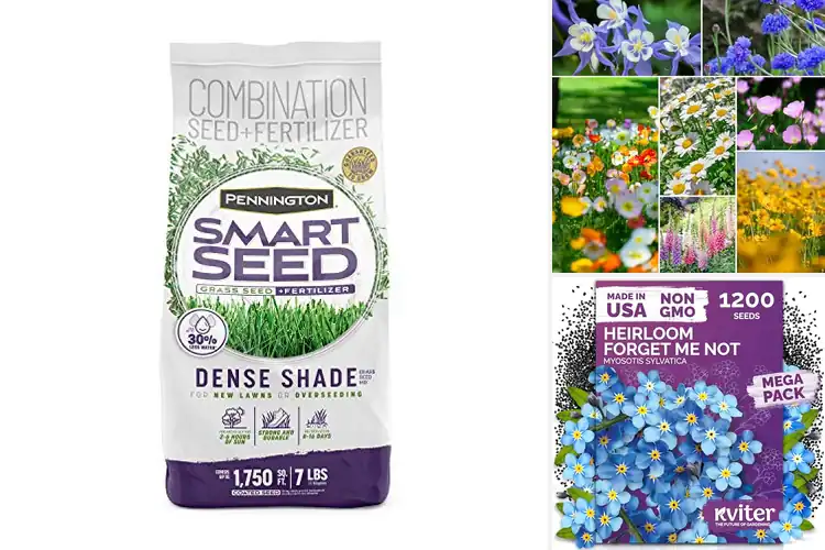 Detailed view of Best Shade Seeds: 10 Easy Options to Brighten Any Garden