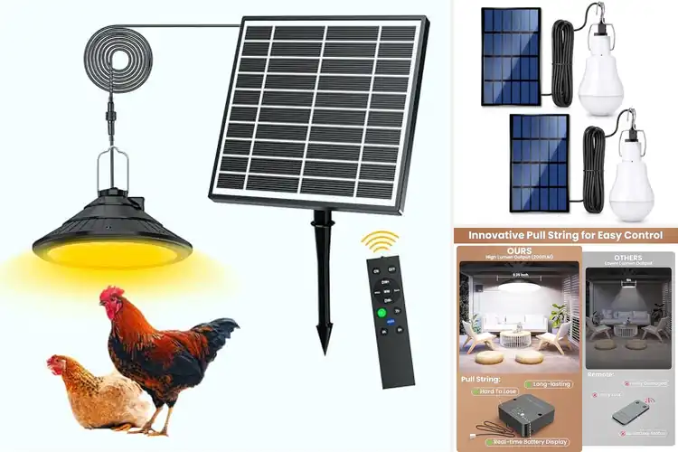 Detailed view of Best Solar Chicken Coop Lights