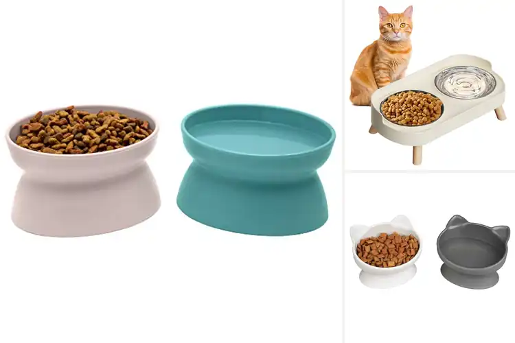 Detailed view of Best Whisker Fatigue Bowls