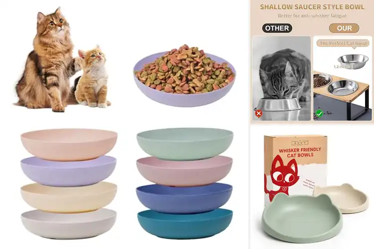 Detailed view of Best Whisker Fatigue Cat Bowls