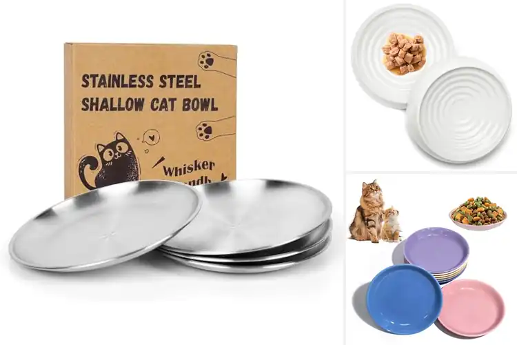 Detailed view of Best Whisker Friendly Bowls – Stress-Free Mealtime Picks