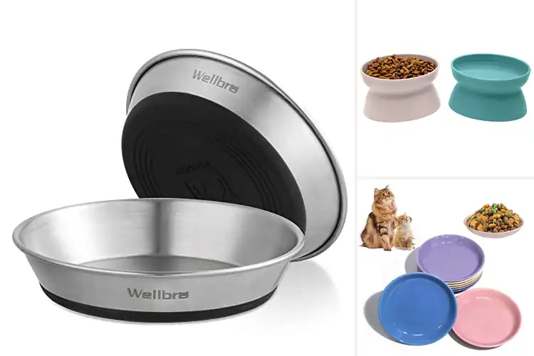 Detailed view of Best Whisker-Friendly Cat Bowls for Stress-Free Mealtime
