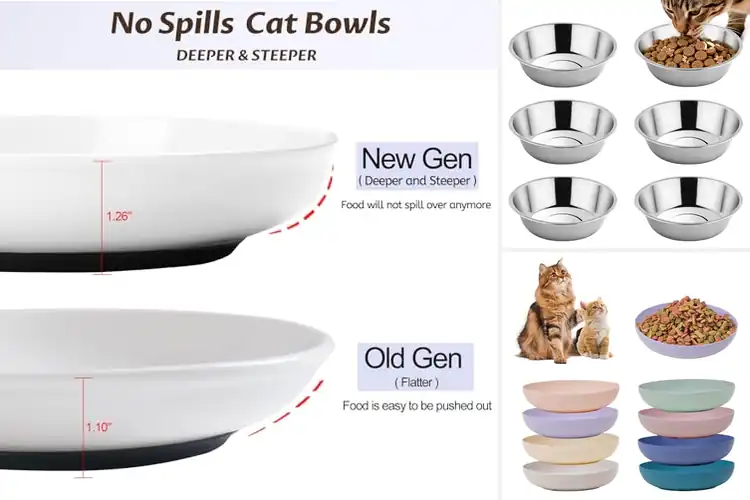 Detailed view of Best Wide Cat Bowls: 10 Top Picks for Stress-Free Mealtimes