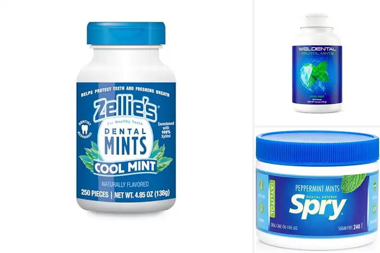 Detailed view of Best Xylitol Mints: Fresh Breath Made Simple